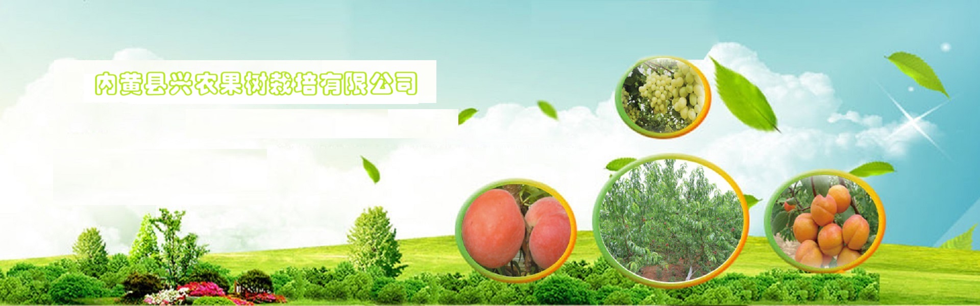 河南優質桃苗